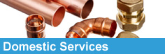 Domestic Services